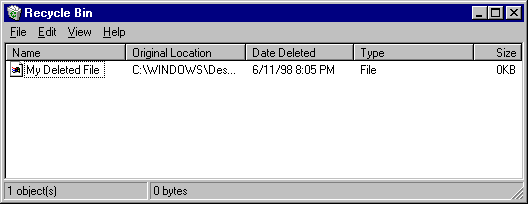 Picture of the Recycle Bin