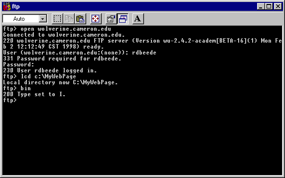 bin command picture