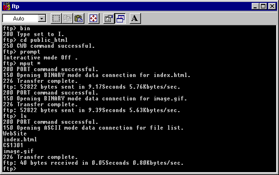 ls command picture